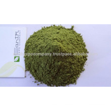 Organic moringa leaves powder